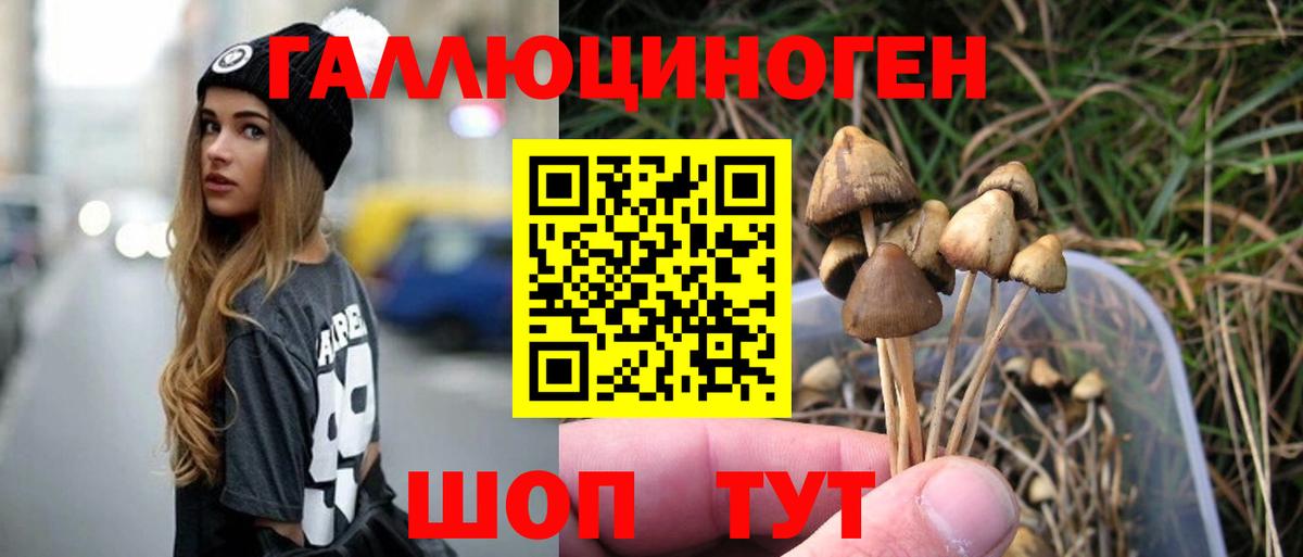 Якутск  Галлюциногенные грибы прущие грибы  Псилоцибиновые грибы Psilocybine cubensis  закладка  Вход с VPN 